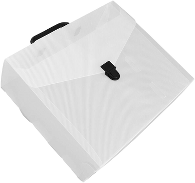 Clear 10 x 12 x 4 Plastic Carry Cases with Black Buckle