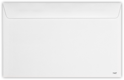 White with Security Tint 24lb W-2 /1099 Double Window Envelopes (5 5/8 x 9)