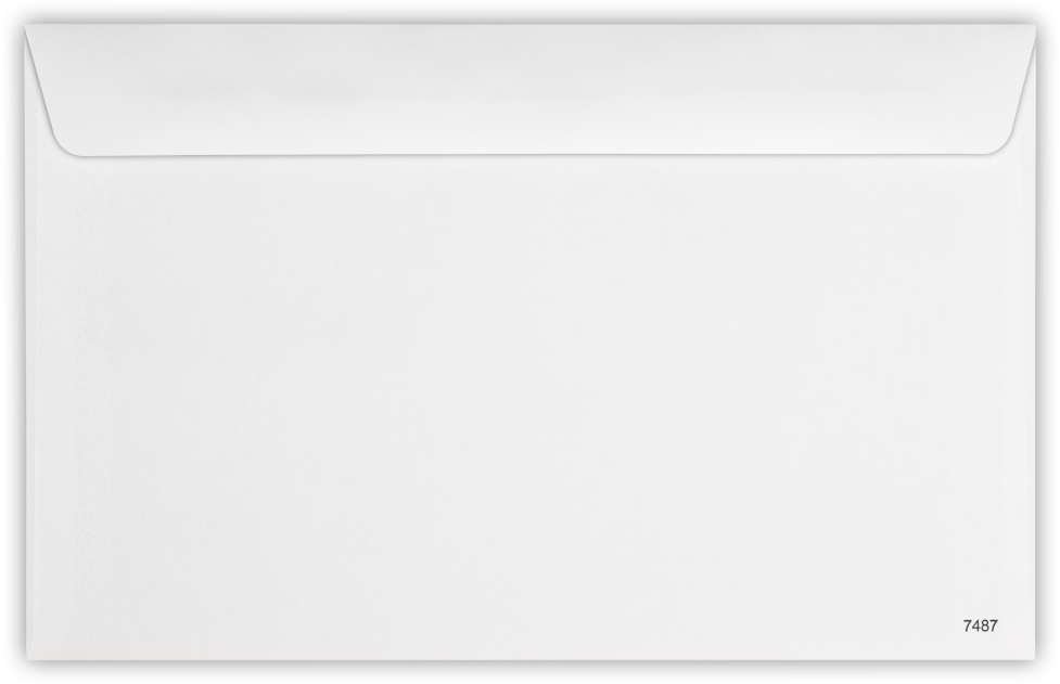White with Security Tint 24lb W-2 /1099 Double Window Envelopes (5 5/8 x 9)