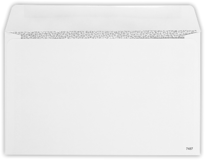 White with Security Tint 24lb W-2 /1099 Double Window Envelopes (5 5/8 x 9)