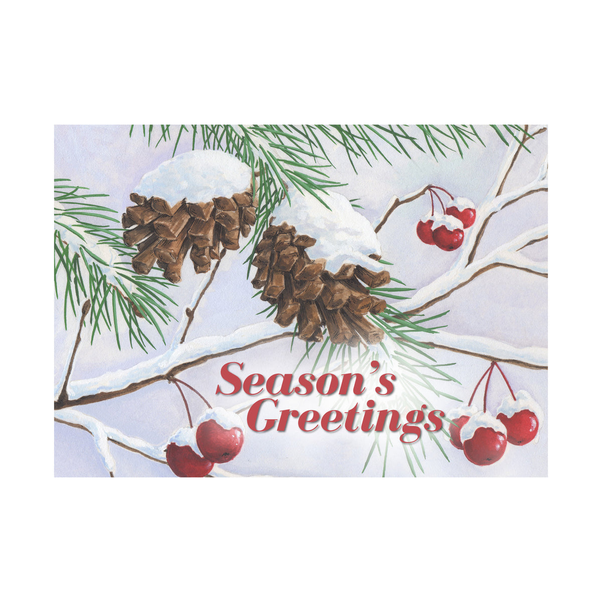 7 x 5 Foldover Card Set 80lb - Glistening Pine Cones