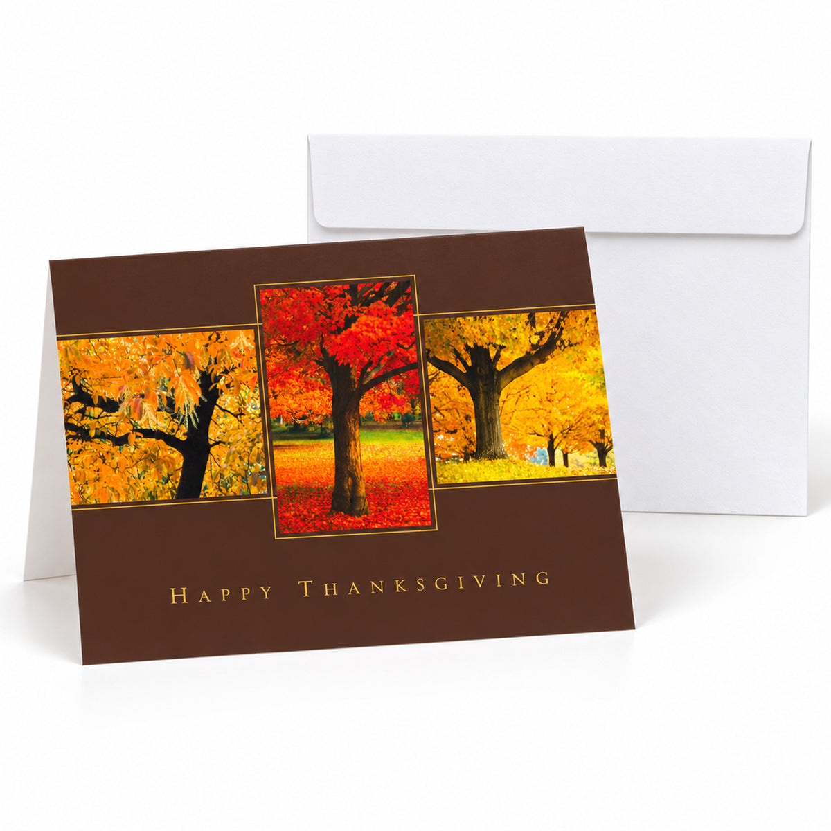 7 x 5 Foldover Card Set 80lb - Thanksgiving Trio