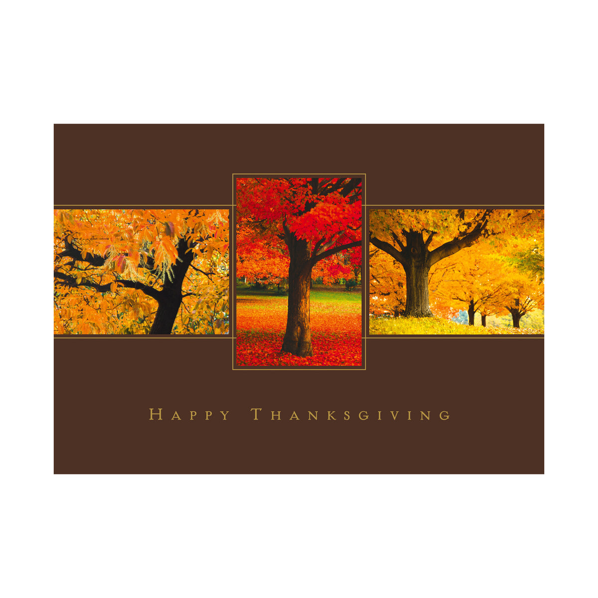 7 x 5 Foldover Card Set 80lb - Thanksgiving Trio