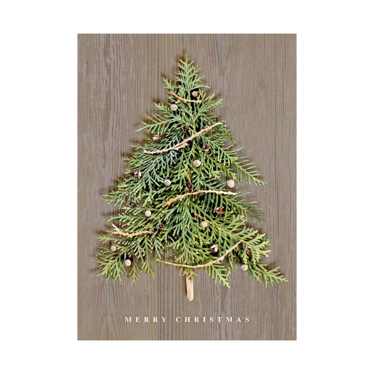5 x 7 Foldover Card Set 80lb - Nature Tree