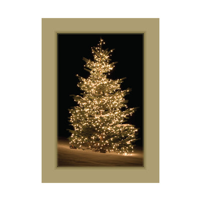 5 x 7 Foldover Card Set 80lb - Frosted Elegance