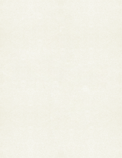 White Quartz Metallic 105lb 8 1/2 x 11 Cardstock