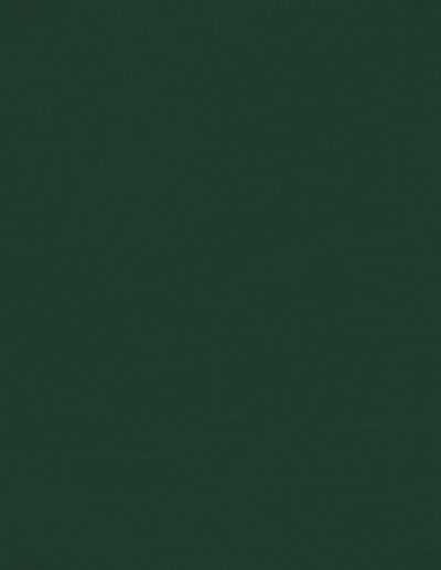 Dark Green Linen 100lb 8 1/2 x 11 Cardstock