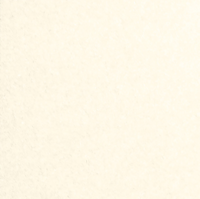 Champagne Ivory Metallic 32lb 8 1/2 x 11 Paper