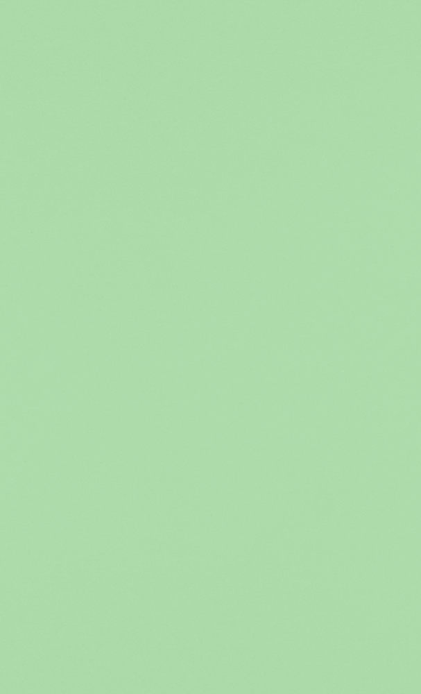 Pastel Green 24lb 8 1/2 x 14 Paper