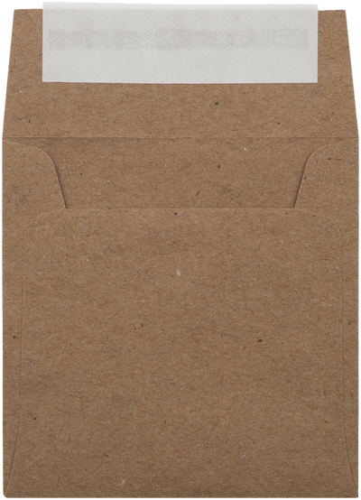 Grocery Bag 28lb 3 1/4 x 3 1/4 Square Envelopes with Peel & Seal