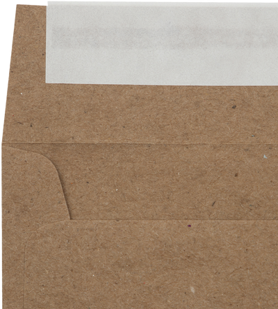 Grocery Bag 28lb 3 1/4 x 3 1/4 Square Envelopes with Peel & Seal