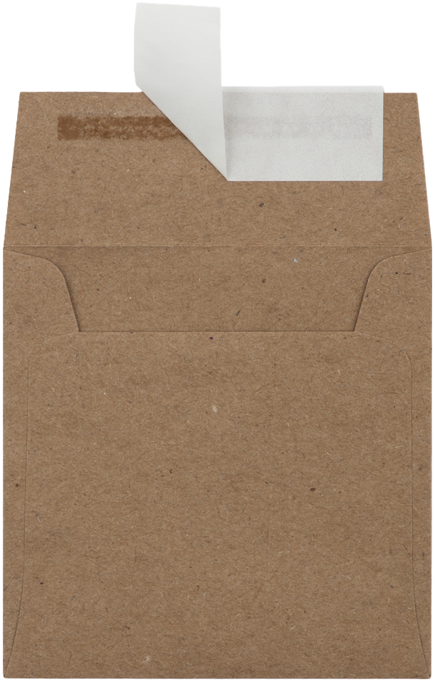 Grocery Bag 28lb 3 1/4 x 3 1/4 Square Envelopes with Peel & Seal