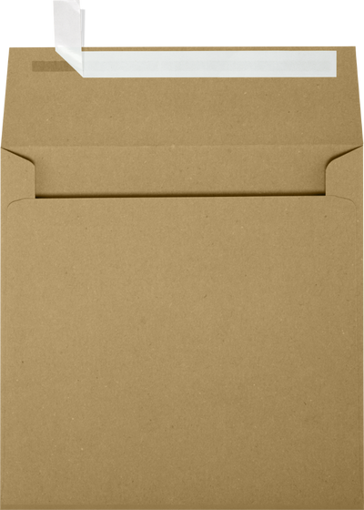 Grocery Bag 28lb 5 x 5 Square Envelopes with Peel & Seal