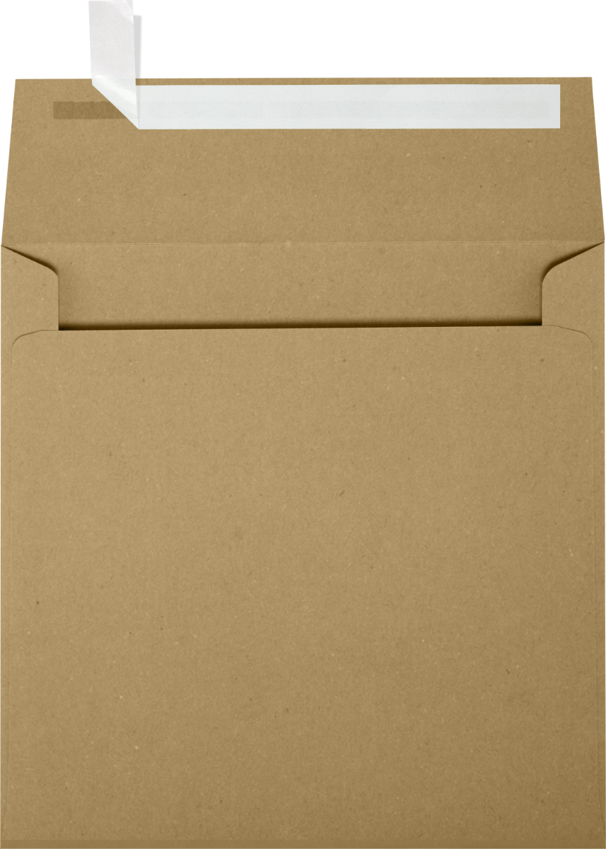 Grocery Bag 28lb 5 x 5 Square Envelopes with Peel & Seal