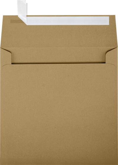 Grocery Bag 28lb 5 1/4 x 5 1/4 Square Envelopes with Peel & Seal