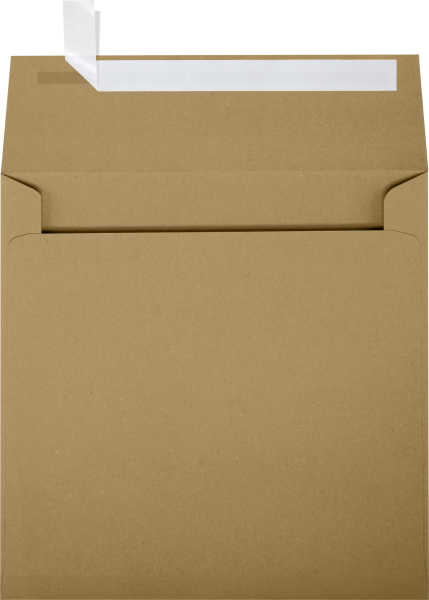 Grocery Bag 28lb 5 3/4 x 5 3/4 Square Envelopes with Peel & Seal
