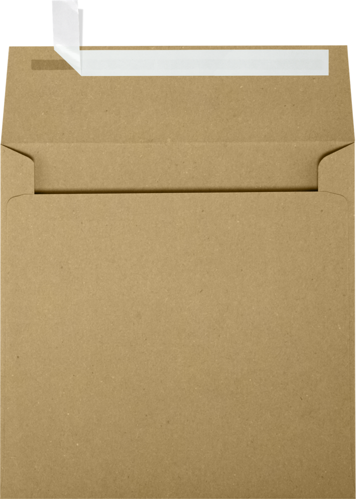 Grocery Bag 28lb 6 1/2 x 6 1/2 Square Envelopes with Peel & Seal