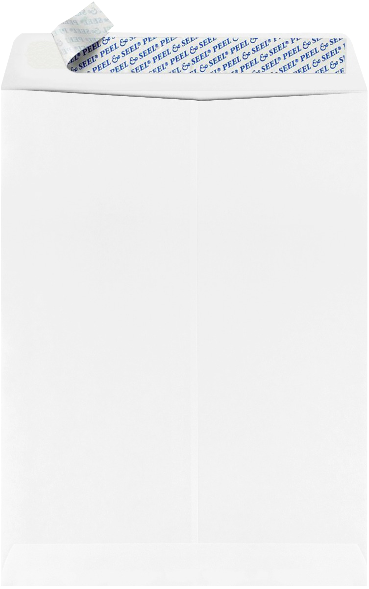 White with Security Tint 28lb 9 x 12 Open End Double Window Envelopes with Peel & Seal