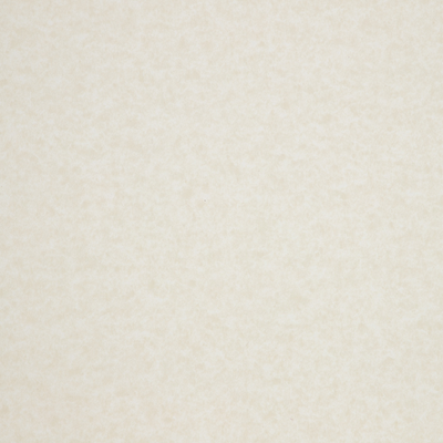Brown Parchment 65lb 8 1/2 x 11 Cardstock