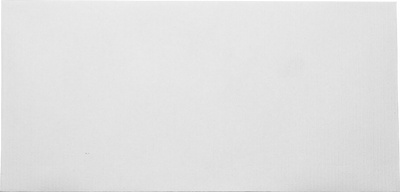 3 1/8 x 6 1/4 Offering Envelopes - White 20lb