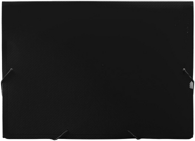 Black Letter Size 13 Pocket Expanding Files (9 x 13)