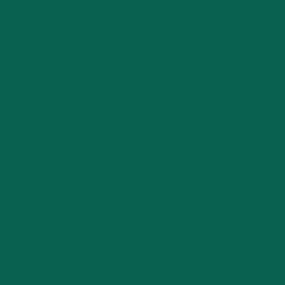 Hunter Green 5 x 5 Beverage Napkins