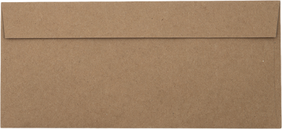 Grocery Bag 28lb #10 Invoice Double Window (4 1/8 x 9 1/8) Envelopes with Peel & Seal