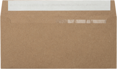 Grocery Bag 28lb #10 Invoice Double Window (4 1/8 x 9 1/8) Envelopes with Peel & Seal