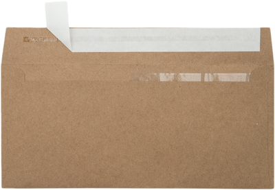 Grocery Bag 28lb #10 Invoice Double Window (4 1/8 x 9 1/8) Envelopes with Peel & Seal