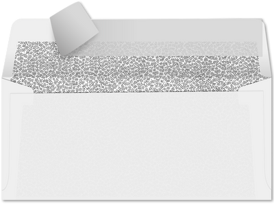 White with Security Tint 24lb #10 Invoice Double Window (4 1/8 x 9 1/8) Envelopes with Peel & Seal