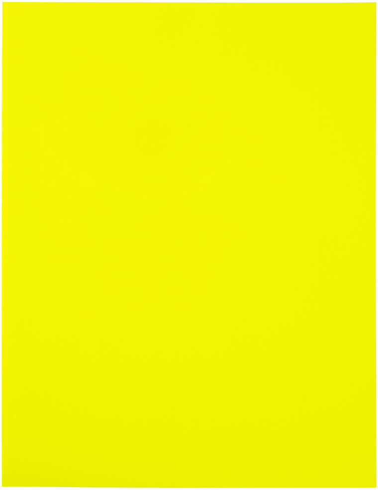 Neon Yellow 8 1/2 x 11 Full Sheet Shipping Labels