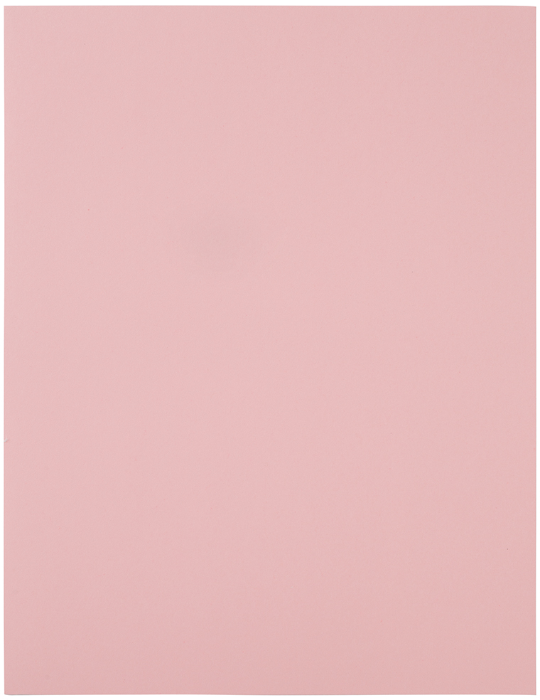 Baby Pink 8 1/2 x 11 Full Sheet Shipping Labels