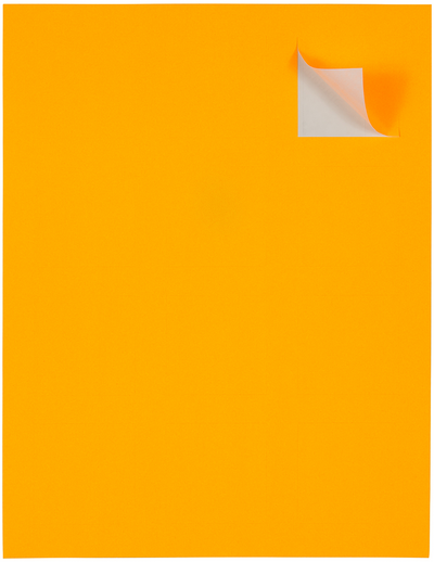 Neon Orange 2 x 2 Square Labels