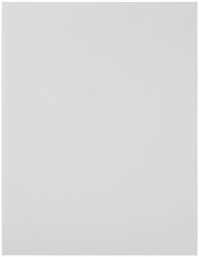 White 8 1/2 x 11 Full Sheet Shipping Labels