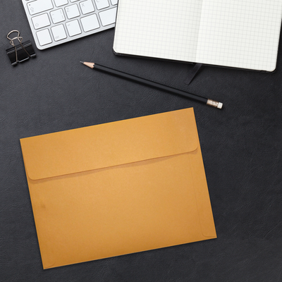 Premium Brown Kraft 40lb 9 x 12 Booklet Envelopes