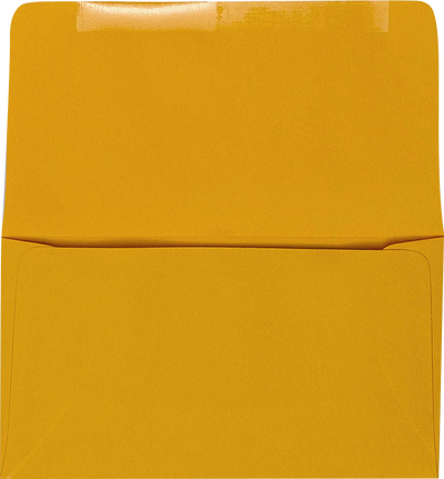 Goldenrod 24lb Remittance Envelopes (3 1/2 x 6 Closed)