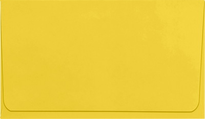 Goldenrod 24lb Remittance Envelopes (3 1/2 x 6 Closed)