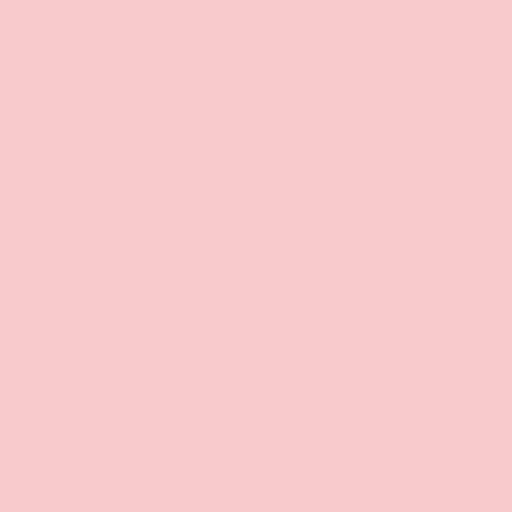 Blush Pink 5 x 5 Beverage Napkins