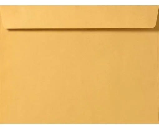10 x 15 Envelopes