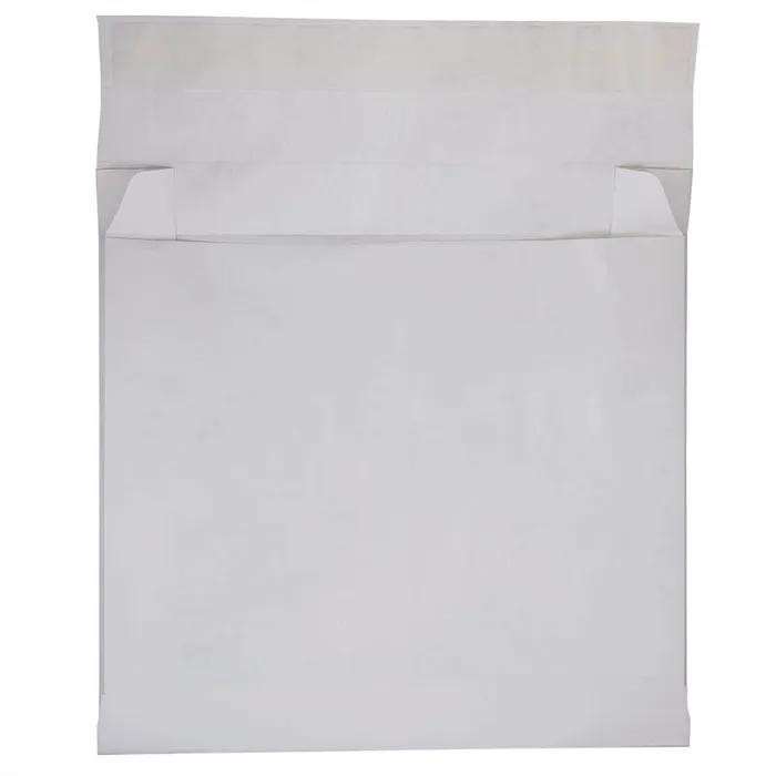 12 x 16 x 4 Envelopes