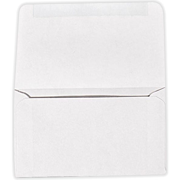 Remittance Envelopes