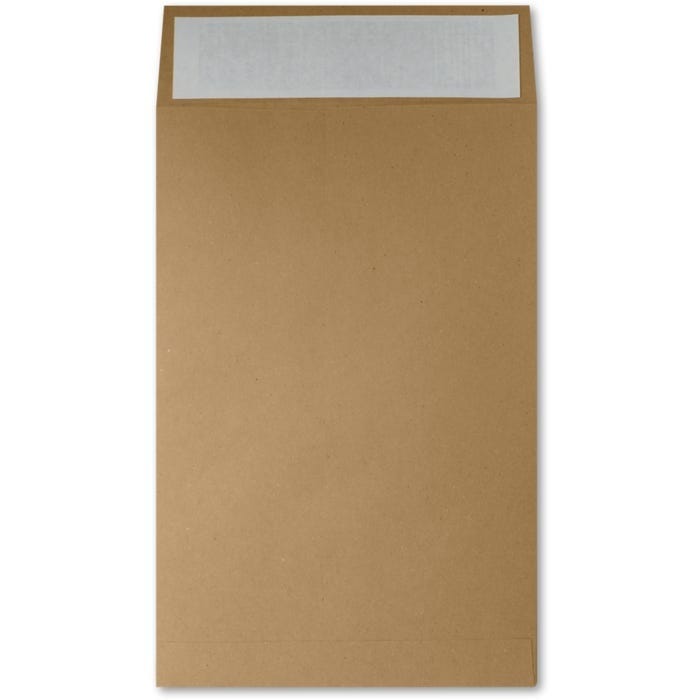 9 1/2 x 14 1/2 Mailers